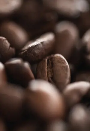 100% Arabica coffee